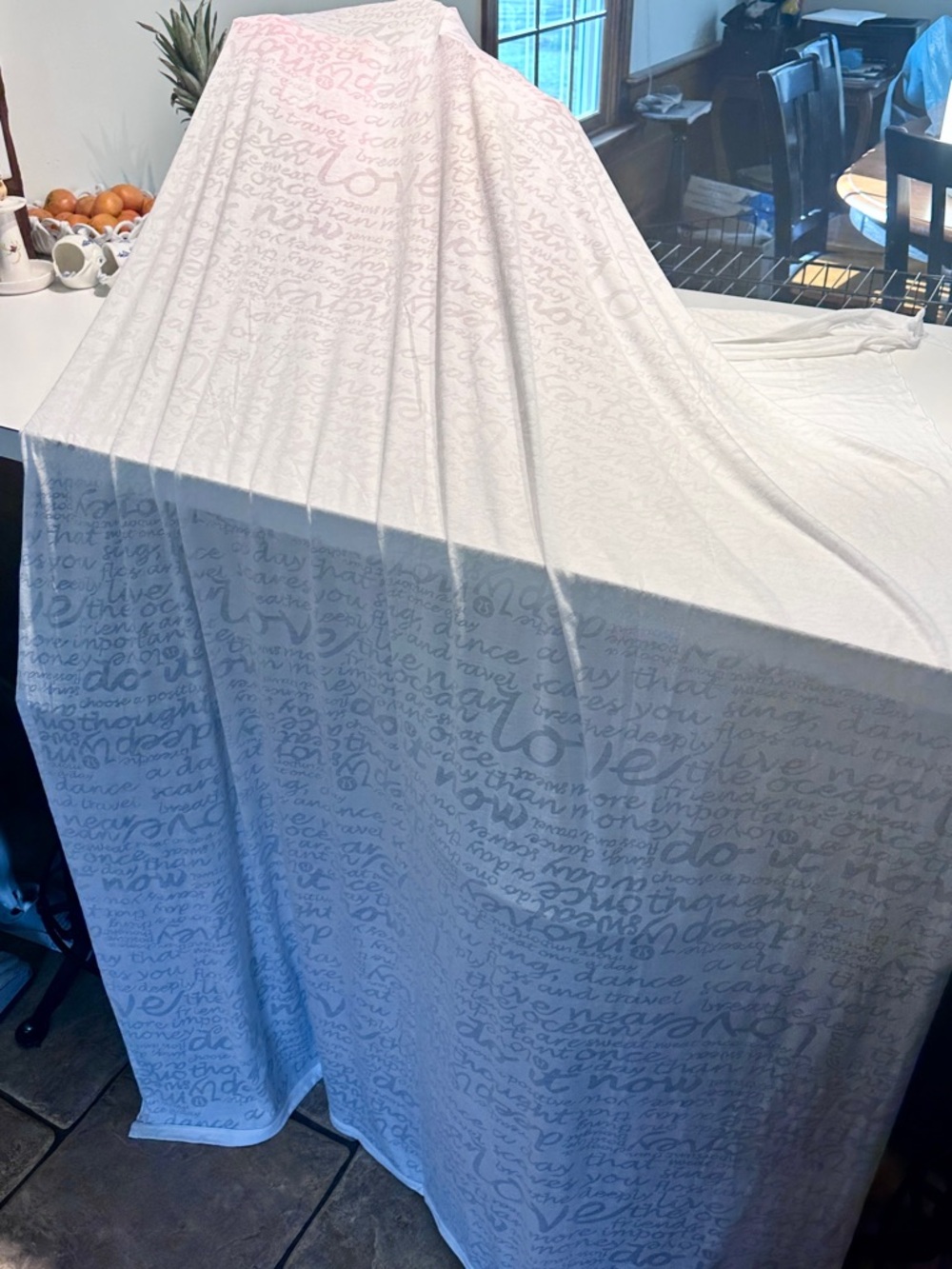 RARE Lululemon Athletica Manifesto Blanket
